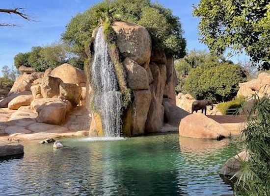 spain/valencia/attraction/bioparc-valencia
