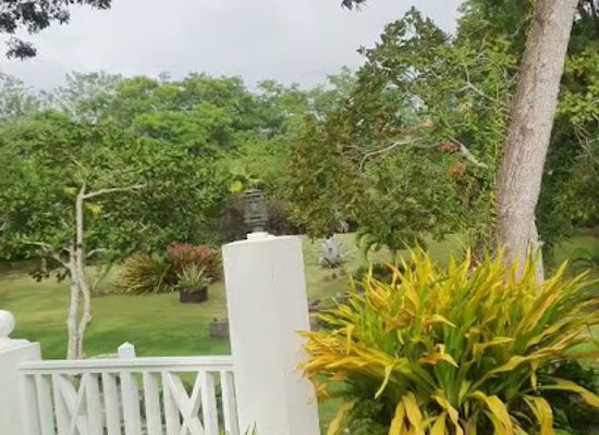 saint-lucia/laborie/attraction/latanye-gardens