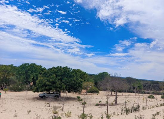 madagascar/ifaty/attraction/plage-de-madiorano