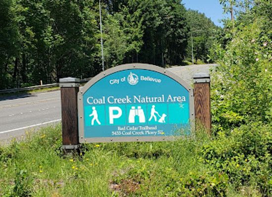 washington/central-washington/attraction/coal-creek-falls