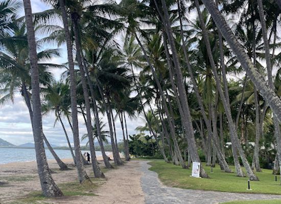 australia/cairns/palm-cove/attraction/palm-tree-tunnel