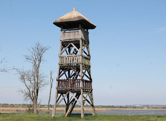 hungary/ferto-region/attraction/velence-and-dinnyes-nature-conservation-area