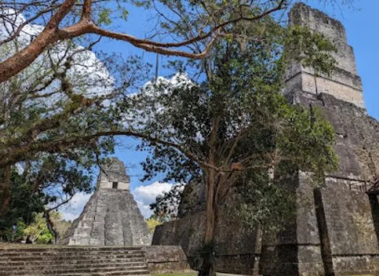 guatemala/peten/attraction/tikal-go-tours