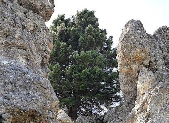 greece/western-greece/attraction/lykoporta