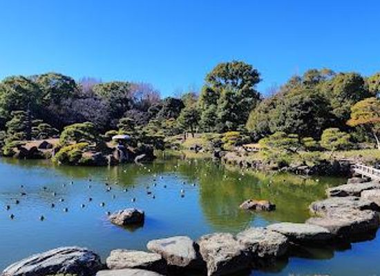 japan/tokyo/attraction/kiyosumi-gardens