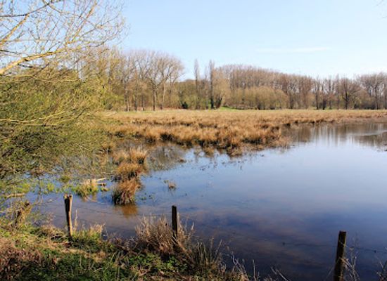 belgium/aalst/attraction/vogelkijkplaats