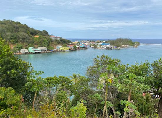 honduras/bay-islands/attraction/charlie-s-roatan-tours