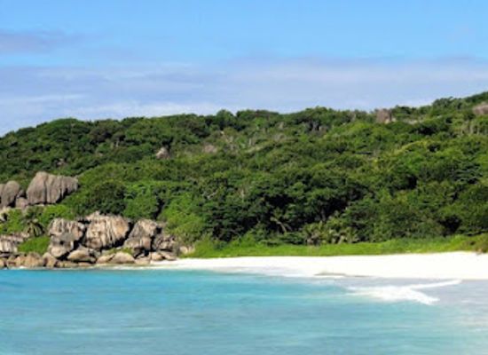 seychelles/la-digue/attraction/tropical-forest