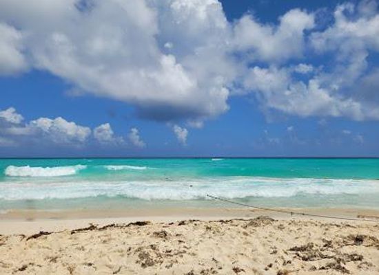 mexico/cancun/attraction/playa-ballenas