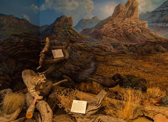 utah/book-cliffs/attraction/museum-of-the-san-rafael