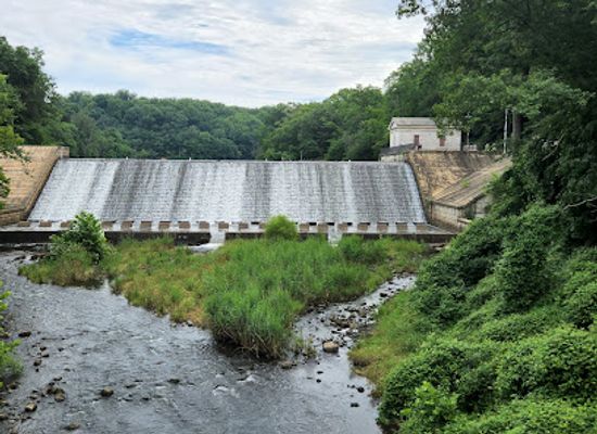 maryland/towson/attraction/lake-roland-nature-council