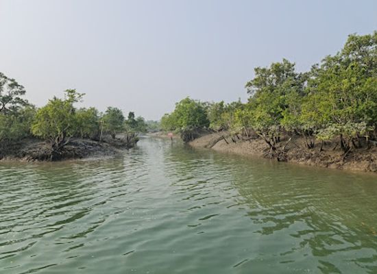 bangladesh/ganges-delta/attraction/sundarban-national-park-west-bengal
