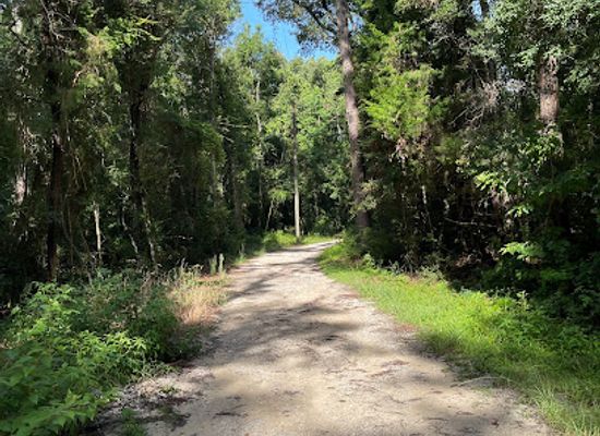alabama/daphne/attraction/jackson-oak