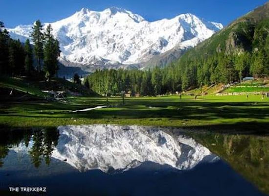pakistan/gilgit-baltistan/attraction/natural-beauty-of-goharabad-valley-diamer