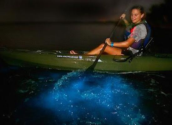 florida/greater-orlando/attraction/a-day-away-kayak-tours