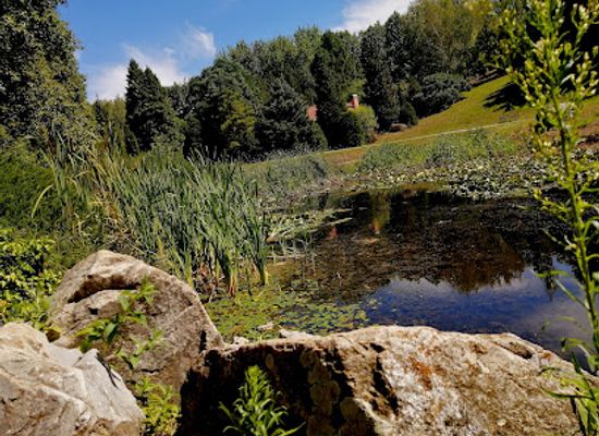 slovakia/nitra-region/attraction/botanical-garden-spu