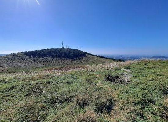 south-korea/jeju-city/attraction/geum-oreum