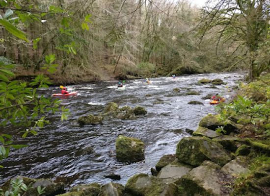 ireland/county-wicklow/attraction/avondale-walk