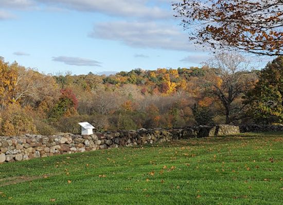connecticut/bear-mountain/attraction/hill-stead-museum