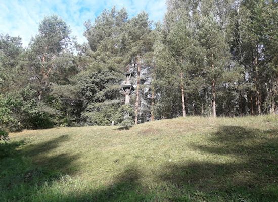 lithuania/aukstaitija/attraction/mikalojaus-konstantino-ciurlionio-kelio-stogastulpis-metu-laikai