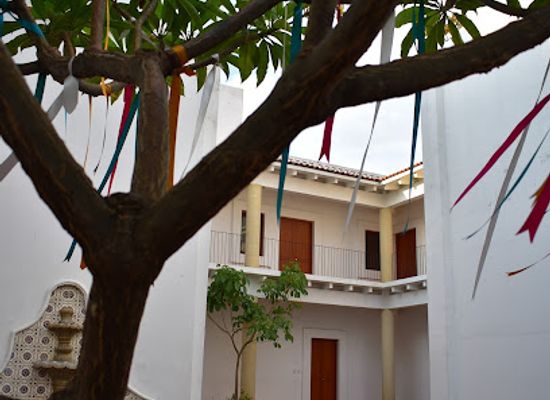 mexico/oaxaca/attraction/museo-belber
