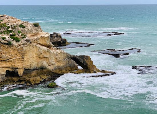 australia/limestone-coast/attraction/port-macdonnell-sa