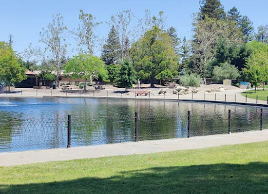 california/walnut-creek/attraction/the-gardens-at-heather-farm