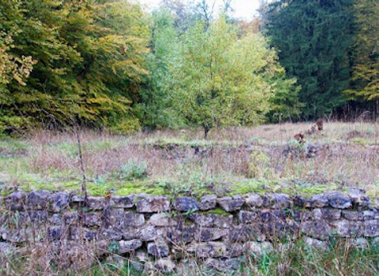 belgium/gaume/attraction/relais-gallo-romain-de-chameleux