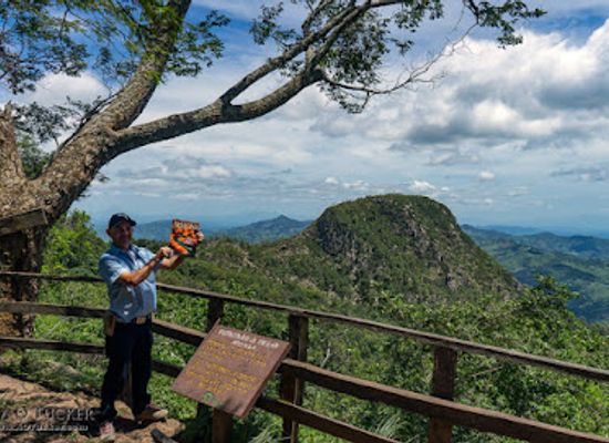 nicaragua/esteli-cigar-tours/attraction/la-garnacha