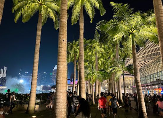 singapore/bugis/attraction/singapore-skyline-view
