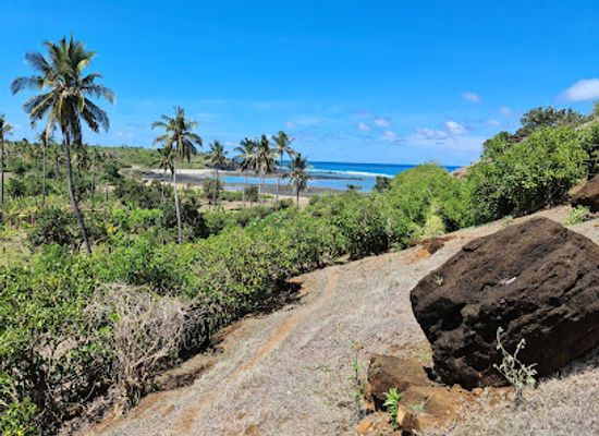 comoros/ouani/attraction/dos-du-dragon