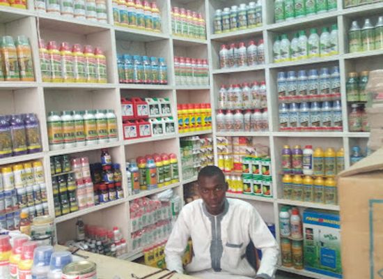 chad/lake-chad/attraction/baga-motor-park-market
