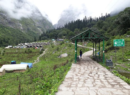 india/uttarakhand/attraction/valley-of-flowers-national-park