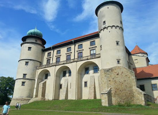 poland/lesser-poland/attraction/castle-in-wisnicz