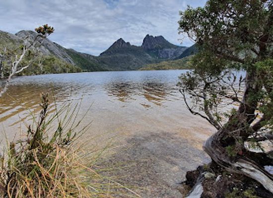 australia/tasmania/attraction/pencil-pine-falls