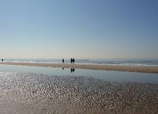 netherlands/haarlem/attraction/beach-bloemendaal