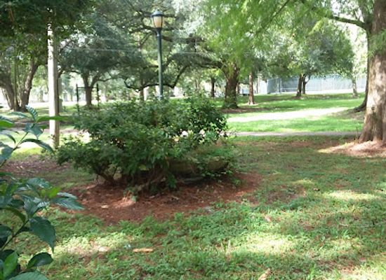 louisiana/acadiana/attraction/janice-the-cat-lady-swing