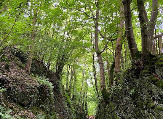 united-kingdom/stirling/attraction/arrow-passage