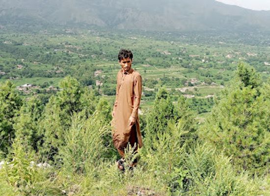 pakistan/fata-federally-administered-tribal-areas/attraction/tirah-medan-valley