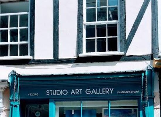 united-kingdom/norwich/attraction/studio-art-gallery