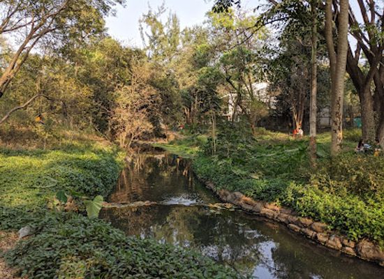 india/pune/kalyani-nagar/attraction/osho-garden