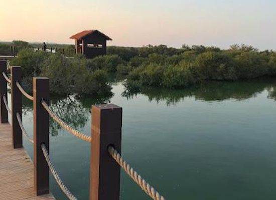 qatar/al-khor/attraction/purple-island