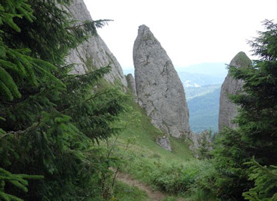 romania/neamt/attraction/conglomeratele-de-ceahlau