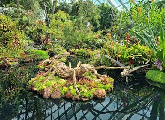 singapore/marina-bay/attraction/cloud-forest