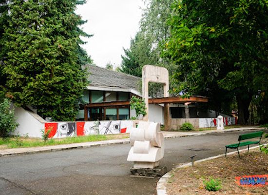 romania/targu-jiu/attraction/the-art-museum