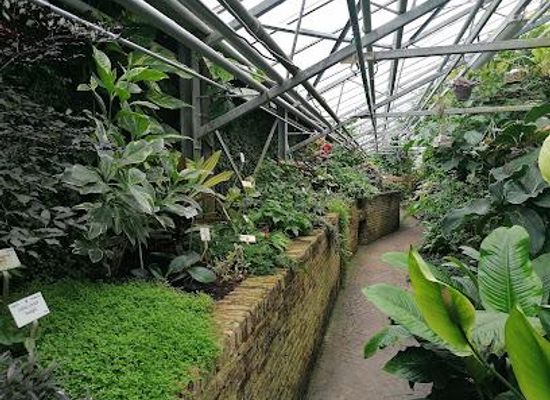 belgium/namur/attraction/botanical-garden