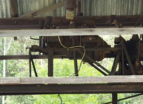 australia/sunshine-coast/attraction/imbil-state-forest