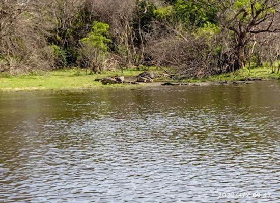 uganda/murchison-falls-national-park/attraction/friendly-wilderness