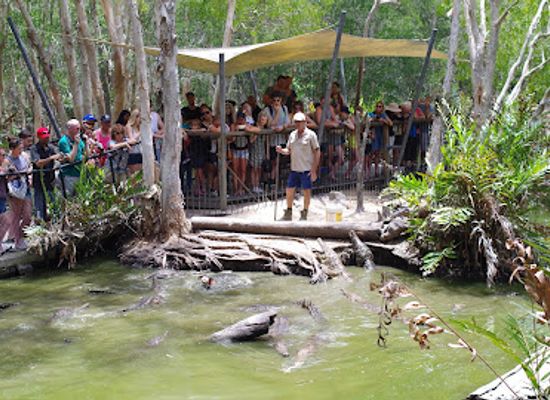 australia/cape-tribulation/attraction/hartley-s-crocodile-adventures