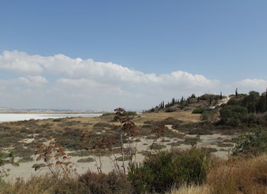 cyprus/larnaca-salt-lake/attraction/salt-lake-hiking-trail